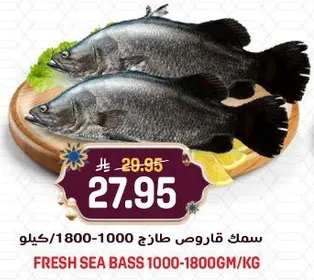 Fresh Sea Bass 1000-1800gm/kg