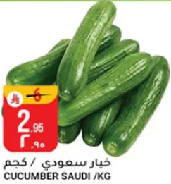 Saudi Cucumber / KG