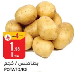 Potato