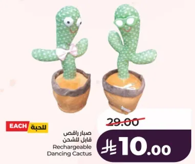 صبار قابل للشحن