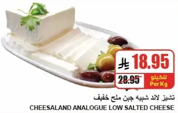 Cheesaland Analogue Low Salted Cheese