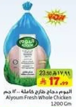 Alyoum Fresh Whole Chicken 1200 gm