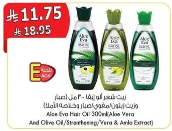 زيت شعر ايفا 300 مل (صبار وزيت زيتون/مقوي/صبار وخلاصه الامل)