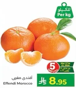 افندي مغربي