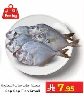 سمكه ساب الصغيره