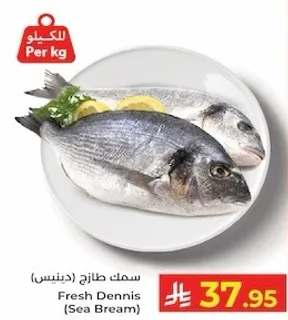 سمك طازج (دينيس)