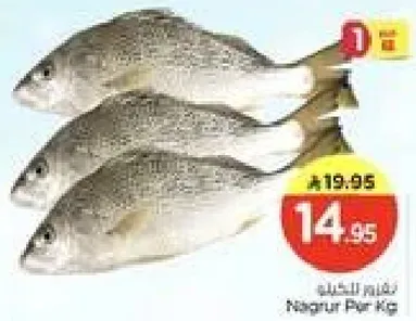 Fresh fish available for purchase.
