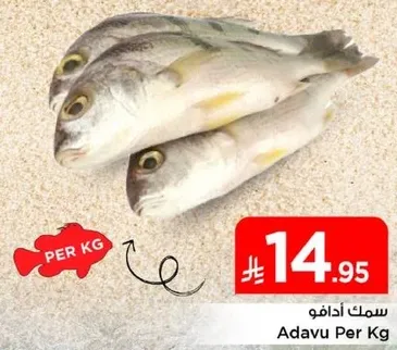 سمك ادافو لكل كيلو.