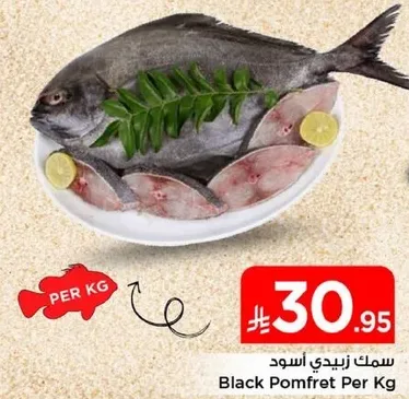 سمك زبيدي الاسود