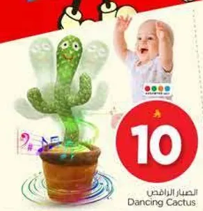 الصبار الراقص