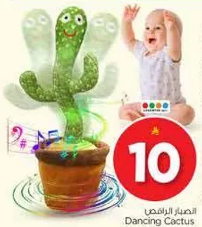 الصبار الراقص