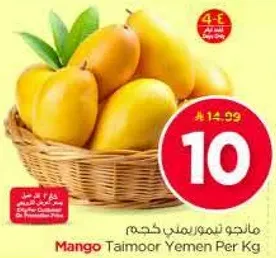 مانجو تيمور يمني كجم