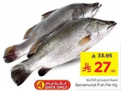 سمك باراموندي بالكيلو