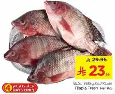 سمك البلطي الطازج لكل كيلو