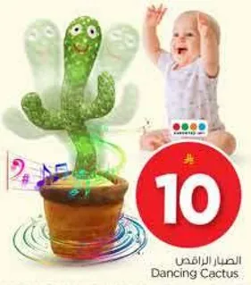 الصبار الراقص