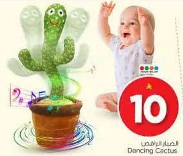 الصبار الراقص