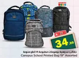 حقيبه مدرسيه برسومات متنوعه 19" متنوعه