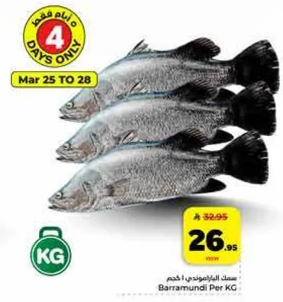 سمك الباراموندي، كجم