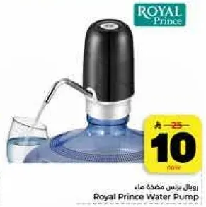 Royal Prince Water Pump