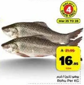 Rohu Fish (Fresh)