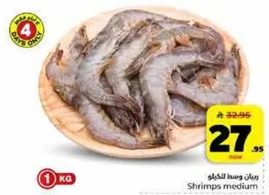 روبيان وسط الخيل