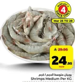 روبيان متوسط الحجم 1 كجم