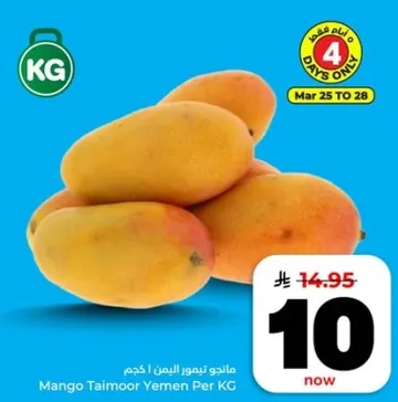 مانجو تيمور اليمن لكل كجم