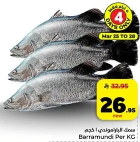 سمك الباراموندي ا كجم