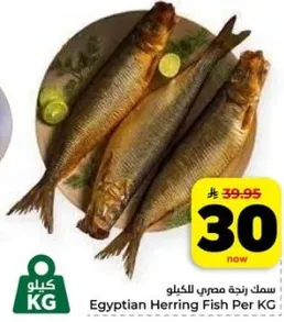 سمك زنجي مصري بالكيلو