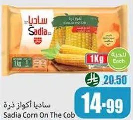 ساديـا اكواز ذره