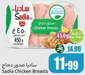 صدور دجاج ساديا