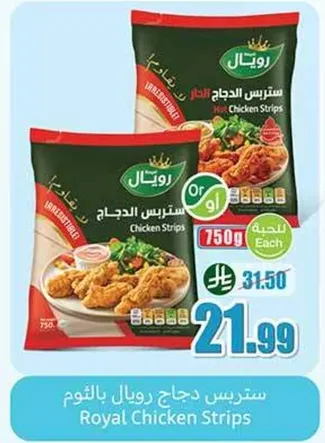 سترس دجاج رويال