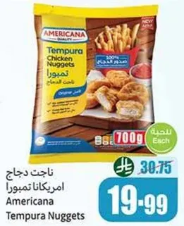 ناجت دجاج امريكانا تمبورا