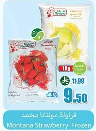 فراوله مونتانا مجمد