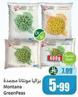 بازليا مونتانا مجمده