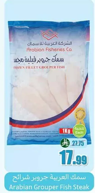 Frozen fillet grouper fish