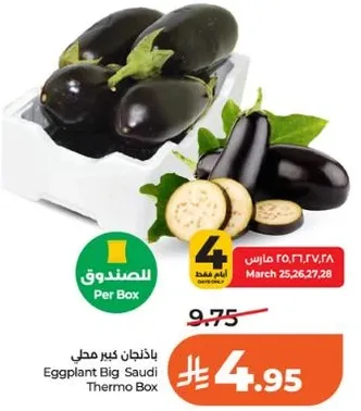 باذنجان كبير محلي