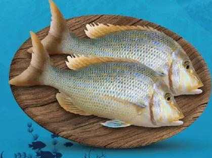 سمك طازج، مثالي للطهي والشواء.