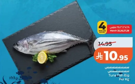 Tuna Fish Big Per Kg.