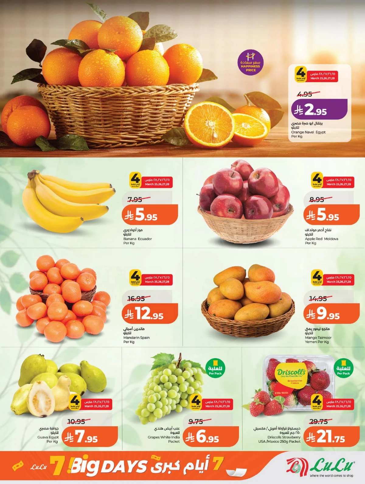 Weekly Offers - Page 21