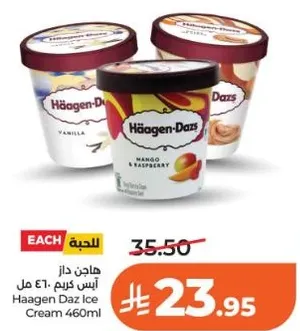 Haagen Dazs Ice Cream 460ml