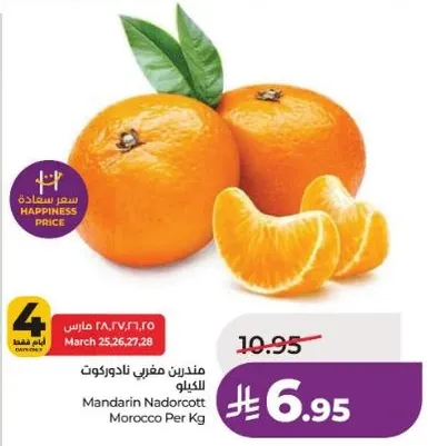 مندرين نادوركوت المغرب لكل كيلو