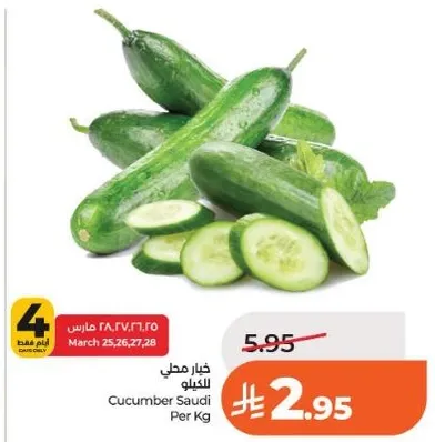 خيار مطحي سعودي