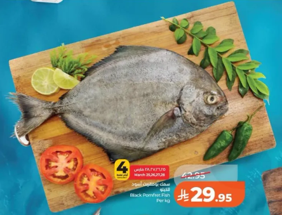 سمك بومفريت الاسود