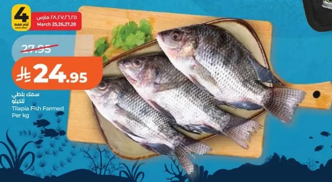 Tilapia Fish Farmed Per kg