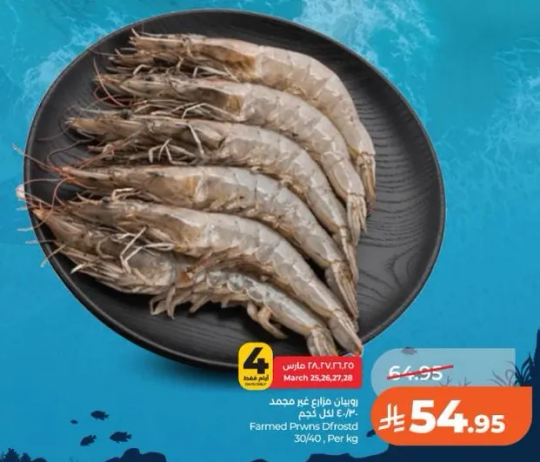 روبيان مزارع عر ممدوح 30/40 لكل كجم