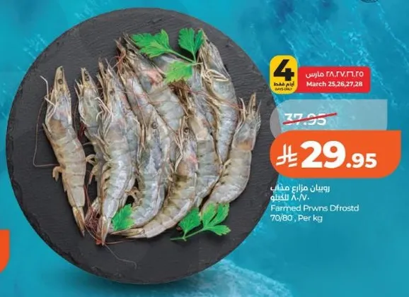 روبيان مزارع مجمد 70/80، لكل كيلو