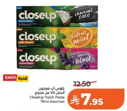 CloseUp Tooth Paste 75ml Assorted