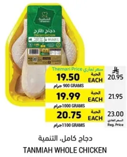 دجاج كامل، التميمي