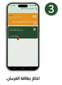 اختر بطاقه الفرسان.